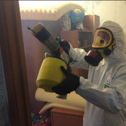 Уничтожение клопов в квартире. Агидель